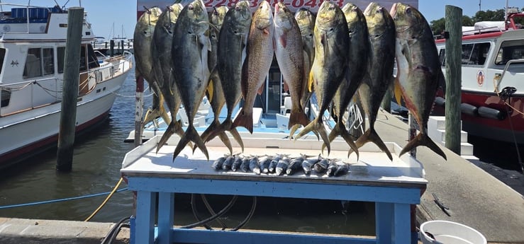 Fishing in Biloxi, Mississippi