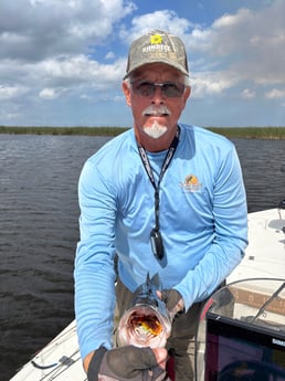 Fishing in Loxahatchee, Florida