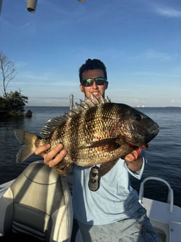 Fishing in Fort Myers, Florida