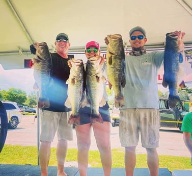 Largemouth Bass Fishing in Wellington, Florida