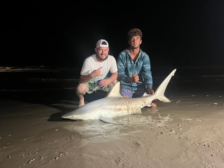 Bull Shark Fishing in Corpus Christi, Texas