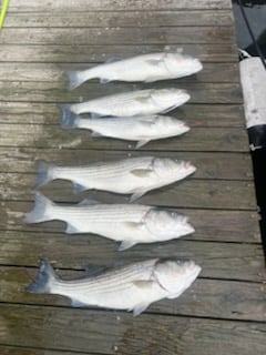 Fishing in Keyport, New Jersey