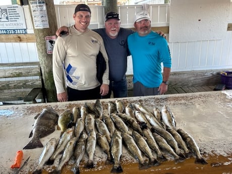 Fishing in New Orleans, Louisiana