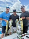 Fishing in Miami, Florida