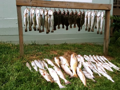 Black Drum, Flounder, Redfish, Speckled Trout / Spotted Seatrout Fishing in Rio Hondo, Texas
