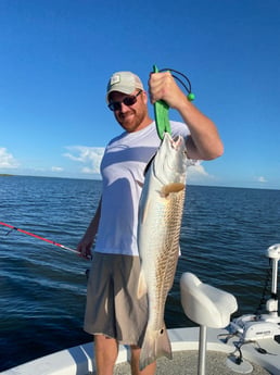 Redfish fishing in Buras, Louisiana