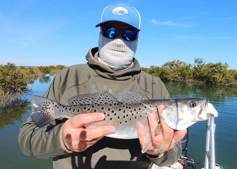 Speckled Trout / Spotted Seatrout Fishing in St. Augustine, Florida