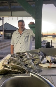Black Drum, Redfish, Speckled Trout / Spotted Seatrout Fishing in Sulphur, Louisiana