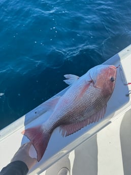 Fishing in Santa Rosa Beach, Florida