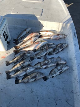 Fishing in Rockport, Texas