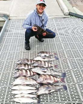 Black Drum, Speckled Trout / Spotted Seatrout fishing in San Leon, Texas