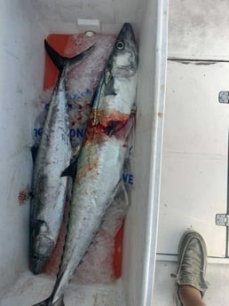 Fishing in Jacksonville, Florida