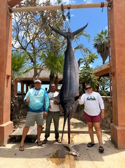 Fishing in San José del Cabo, Mexico