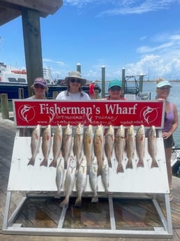 Redfish, Speckled Trout Fishing in Ingleside, Texas