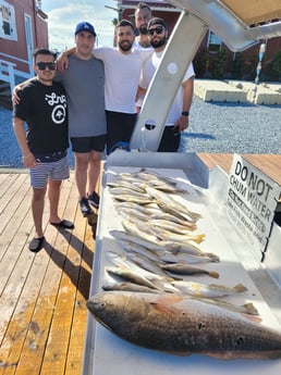 Redfish, Speckled Trout / Spotted Seatrout fishing in New Orleans, Louisiana