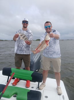 Black Drum, Redfish Fishing in