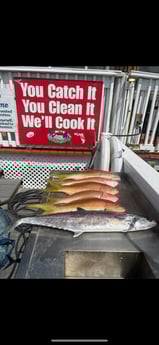 Fishing in St. Petersburg, Florida