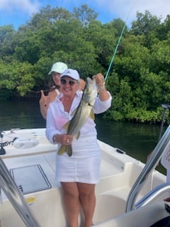 Snook Fishing in St. Petersburg, Florida