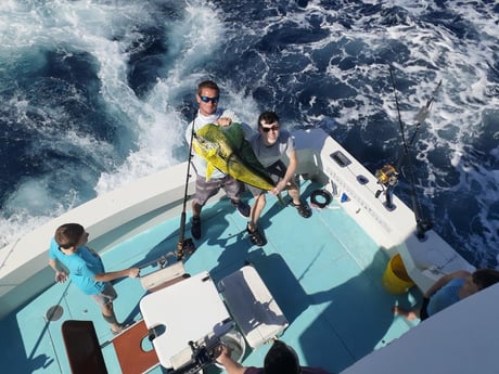 Mahi Mahi / Dorado Fishing in West Palm Beach, Florida
