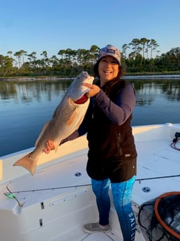 Redfish Fishing in Pensacola, Florida