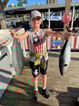 False Albacore Fishing in Orange Beach, Alabama