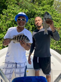 Sheepshead Fishing in St. Petersburg, Florida