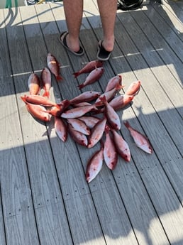 Fishing in Destin, Florida