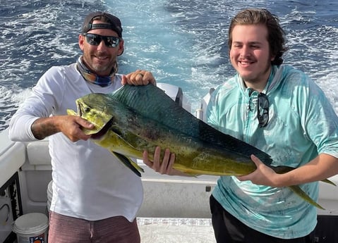 Mahi Mahi / Dorado fishing in Riviera Beach, Florida