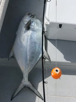 Florida Pompano fishing in Naples, Florida