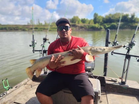 Alligator Gar Fishing in Dallas, Texas