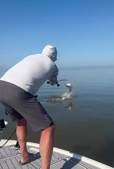 Fishing in Marco Island, Florida