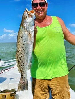 Speckled Trout / Spotted Seatrout fishing in Tavernier, Florida