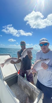 Fishing in Key West, Florida