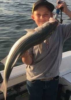 Striped Bass fishing in Pottsboro, Texas