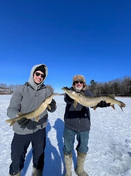 Fishing in Stanwood, Michigan