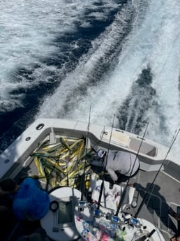 Fishing in Miami Beach, Florida