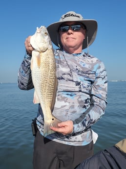 Black Drum fishing in Tiki Island, Texas