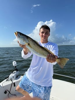 Fishing in Sarasota, Florida