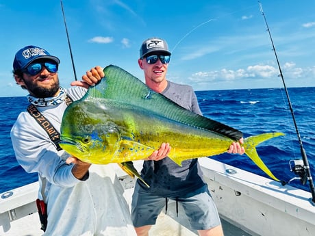 Fishing in Key Largo, Florida