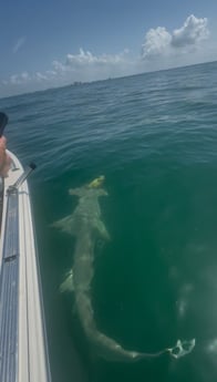 Fishing in Marco Island, Florida