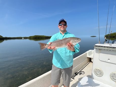 Redfish Fishing in Crystal River, Florida