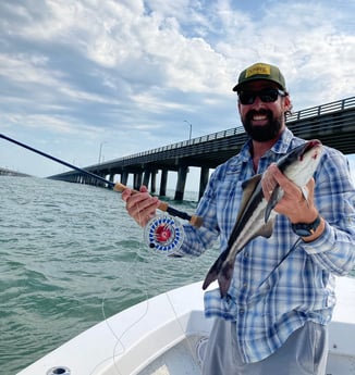 Cobia fishing in Virginia Beach, Virginia