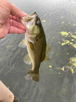 Fishing in West Palm Beach, Florida
