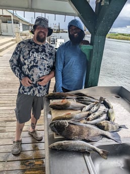 Black Drum, Redfish, Speckled Trout / Spotted Seatrout fishing in Sulphur, Louisiana