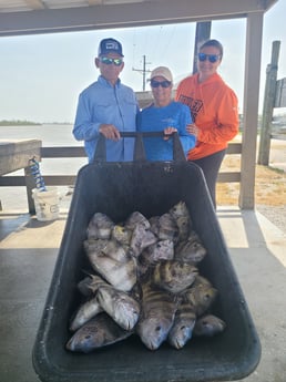 Sheepshead Fishing in Boothville-Venice, Louisiana