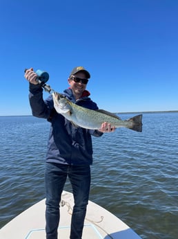 Speckled Trout Fishing in Panama City Beach, Florida