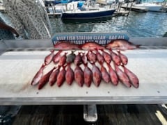 Fishing in Shalimar, Florida