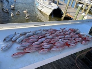 Fishing in Foley, Alabama