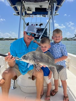 Black Drum Fishing in