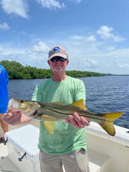 Snook fishing in Bokeelia, Florida